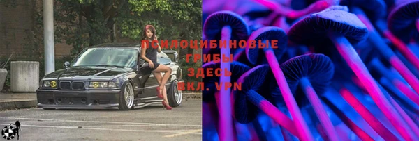 бутират Инта