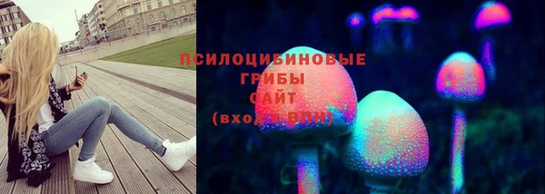 крисы Инсар