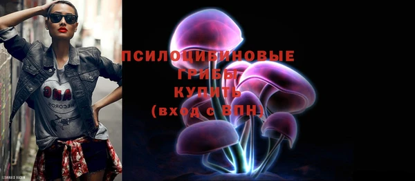 mix Каменногорск