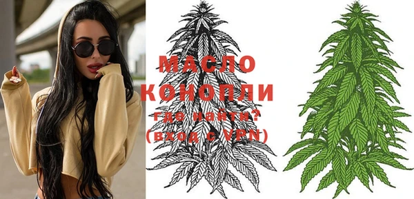 крисы Инсар