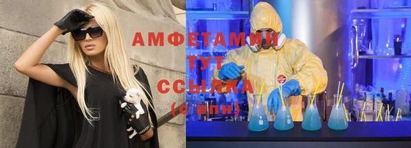 бутират Инта