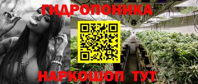 крисы Кунгур