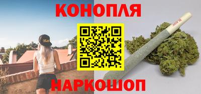 крисы Кунгур