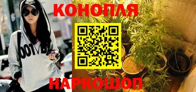 крисы Кунгур